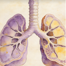 Bronchus