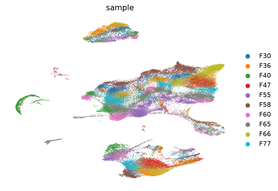 UMAP by GEO sample