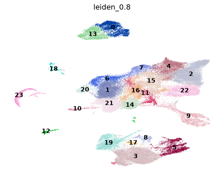 UMAP (Leiden 0.8)