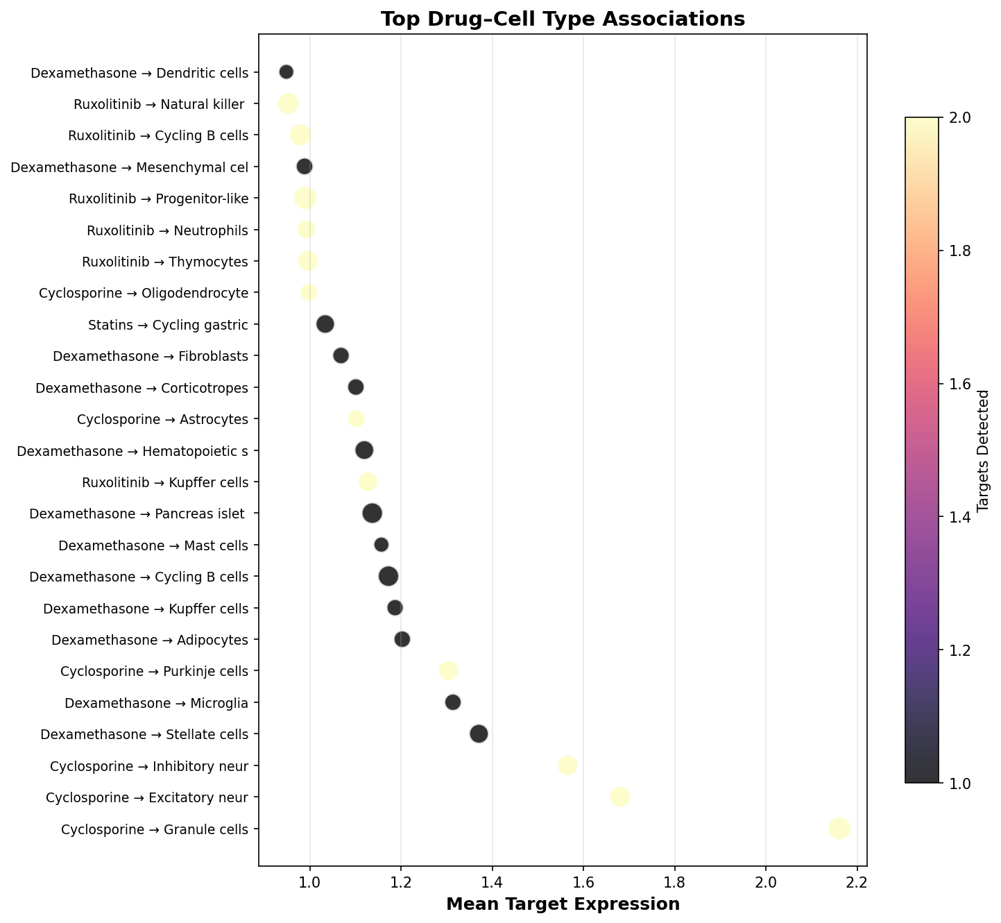Top Drug–Cell Type Associations
