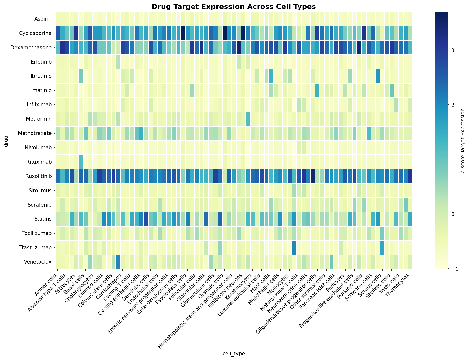 Drug Target Expression Heatmap