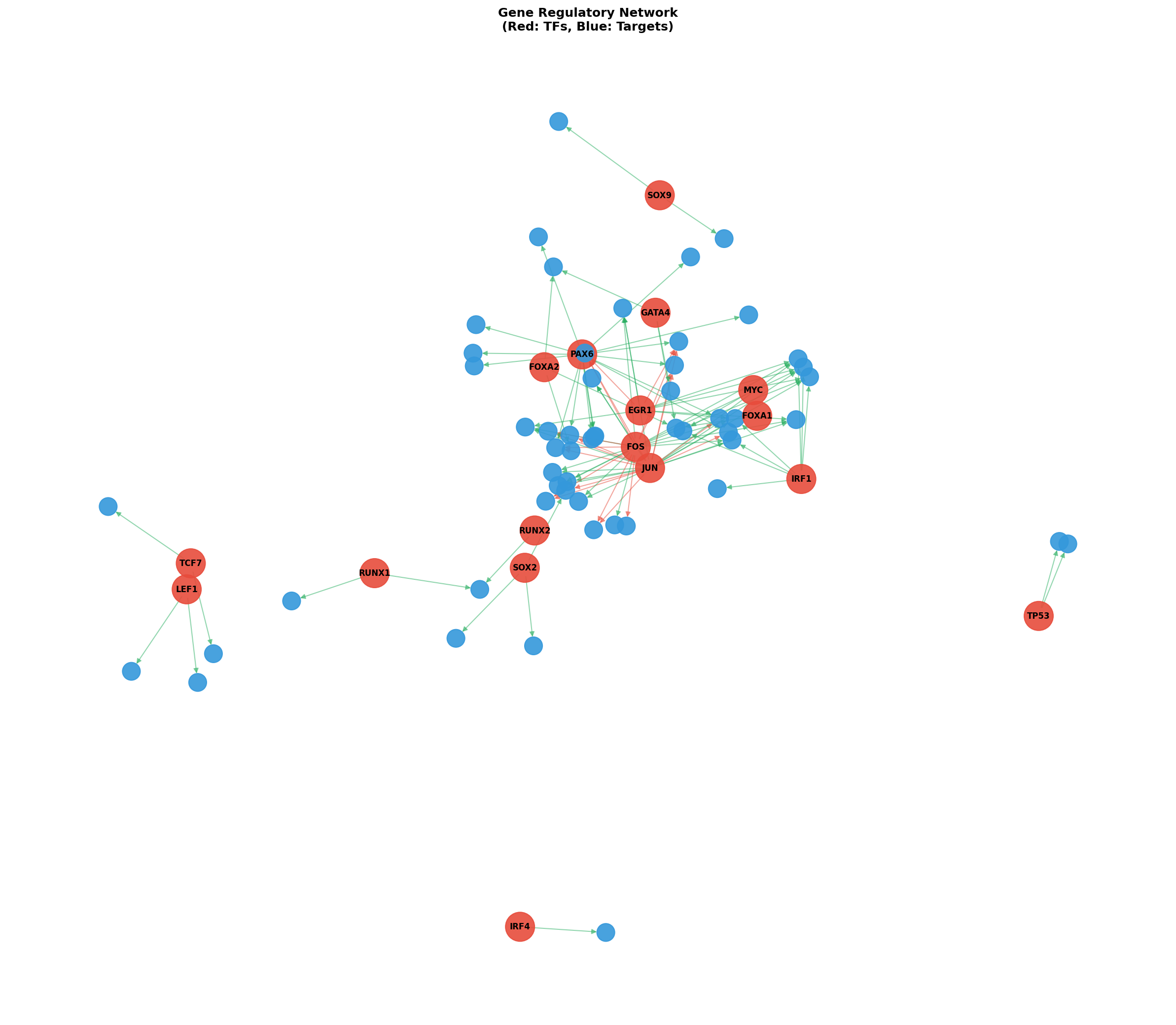 Exploratory TF-Target Association Network