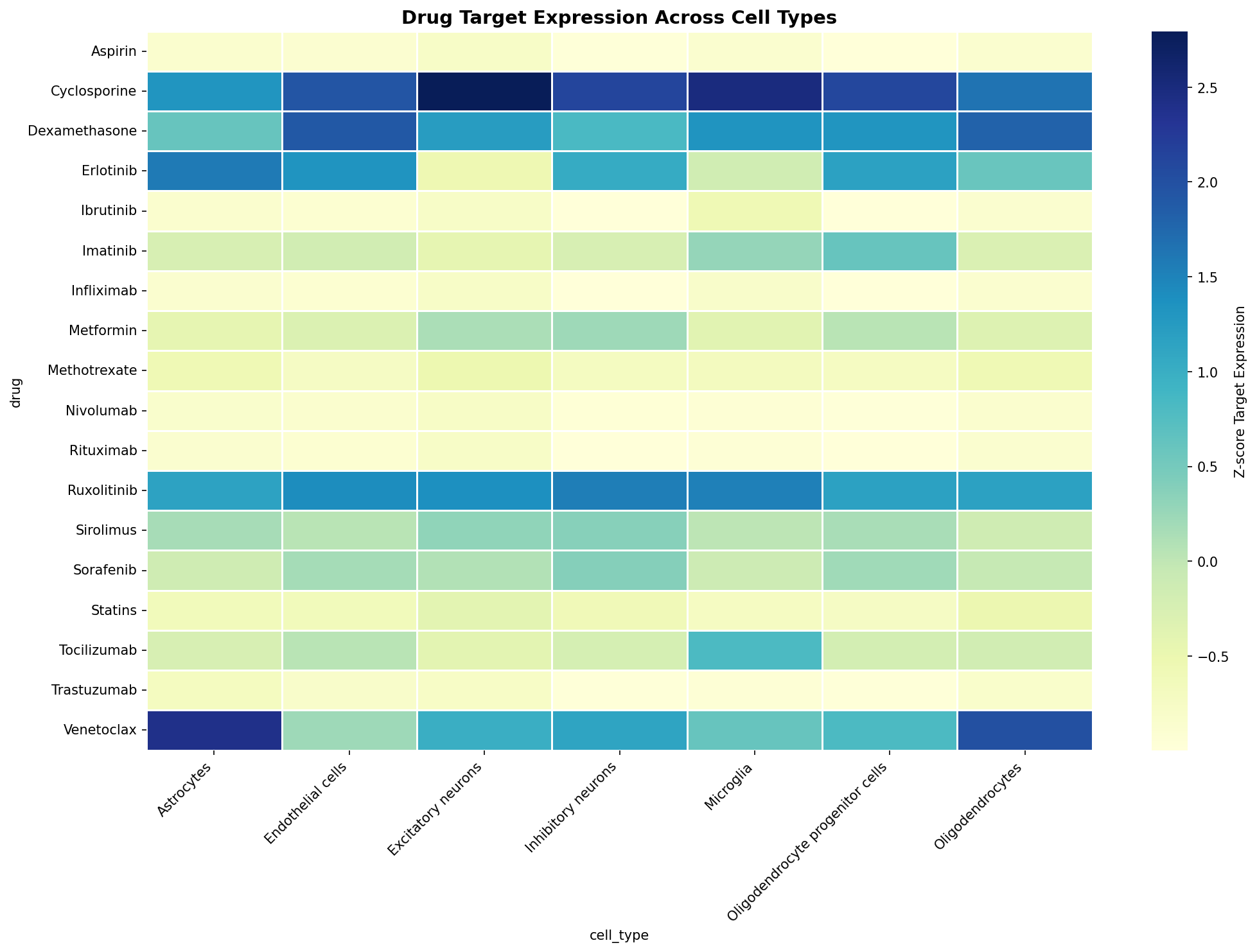 Drug Target Expression Heatmap