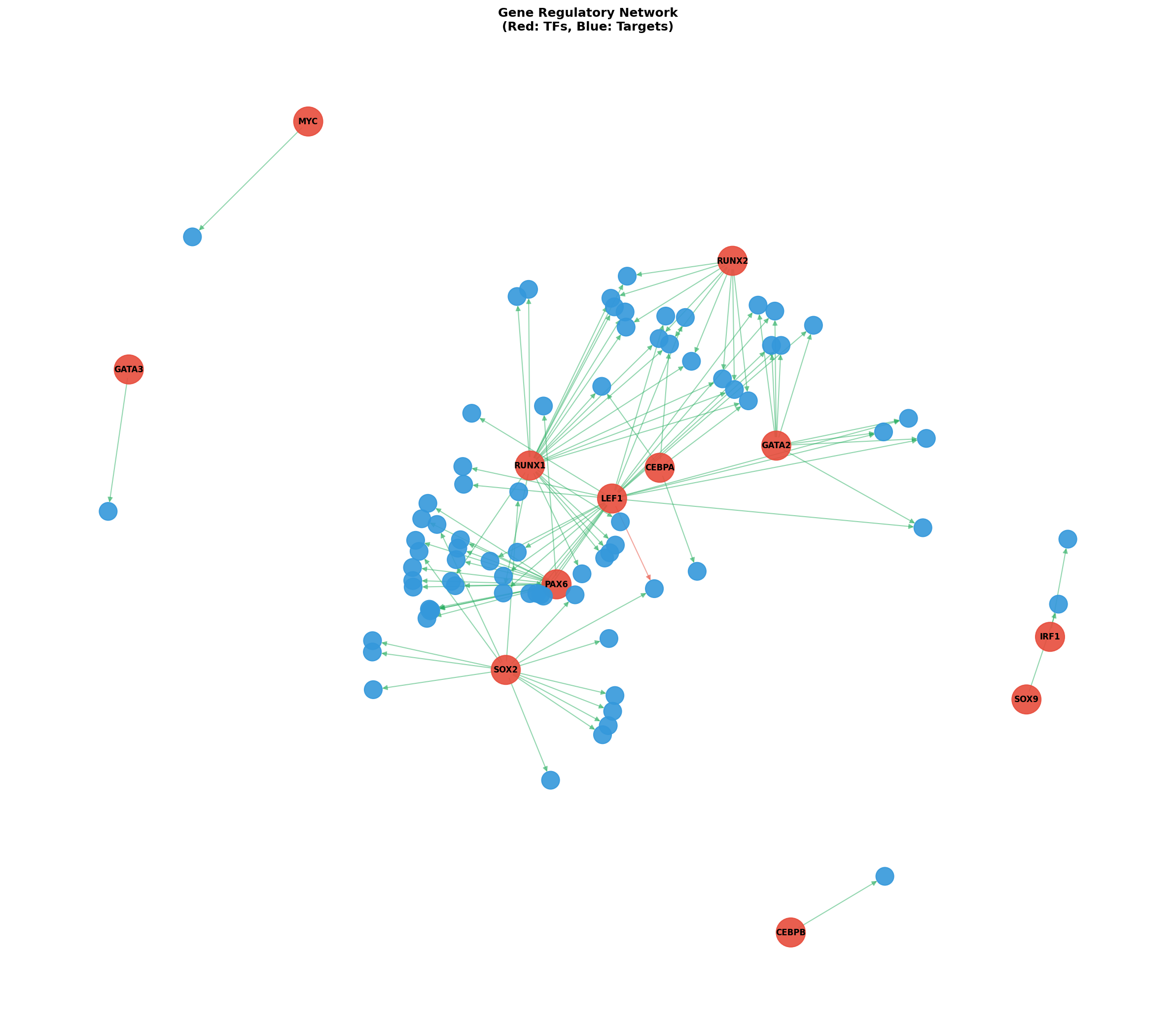 Exploratory TF-Target Association Network