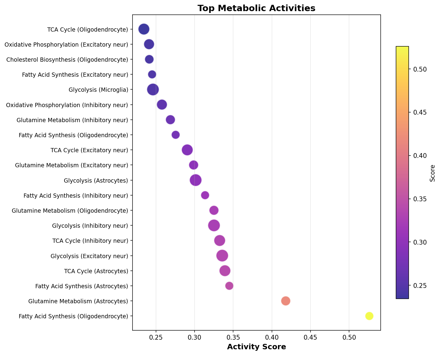 Top Metabolic Activities