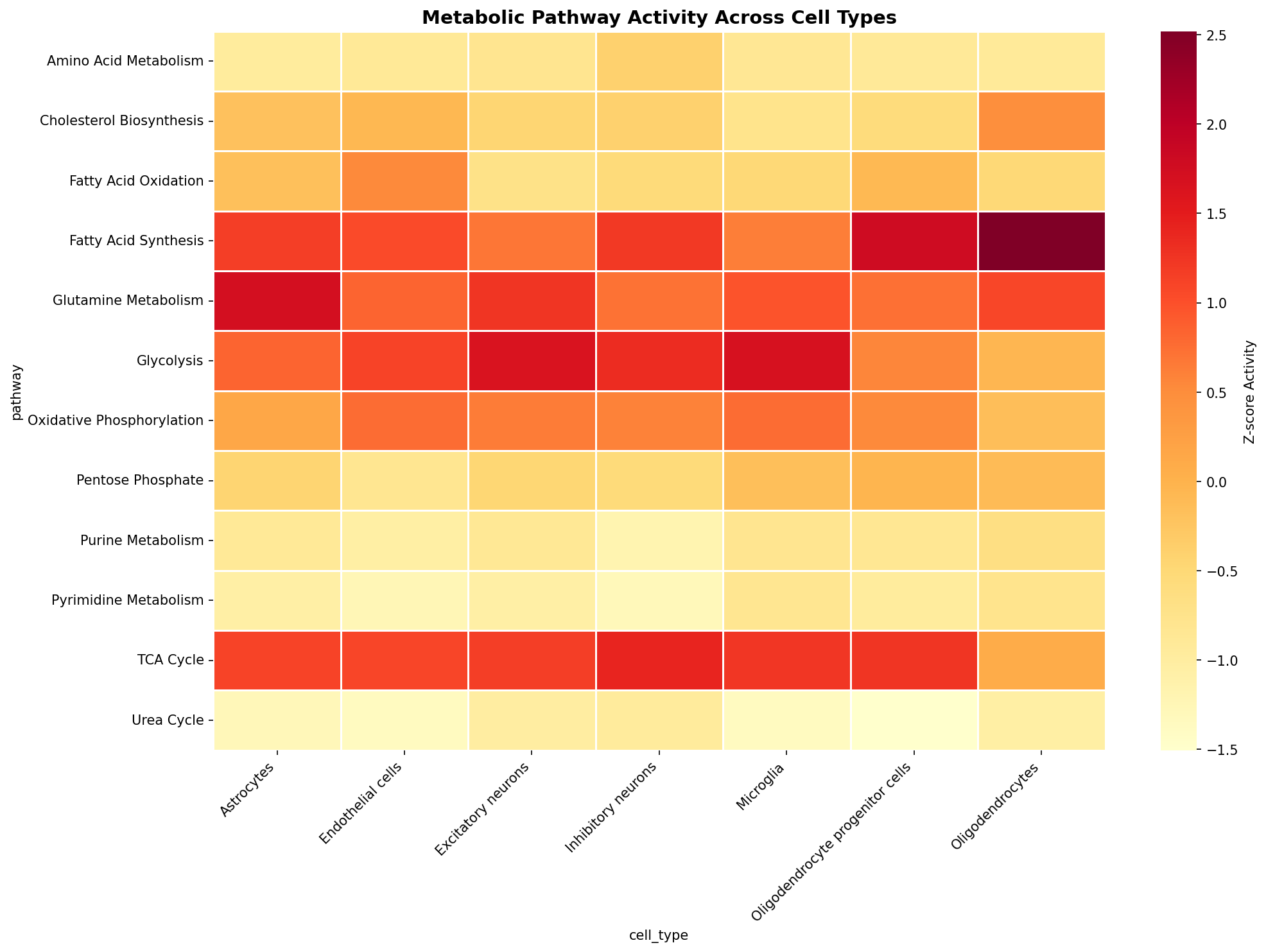 Metabolic Pathway Heatmap