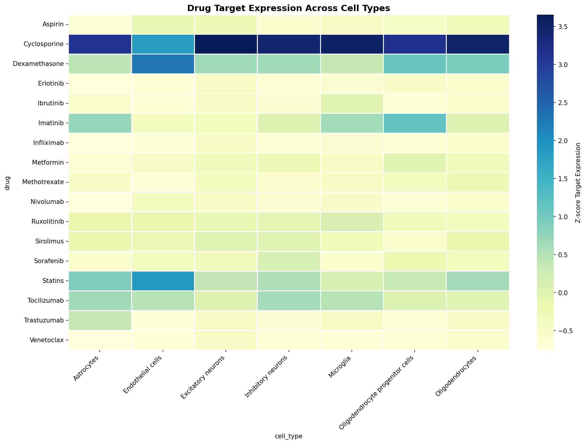Drug Target Expression Heatmap