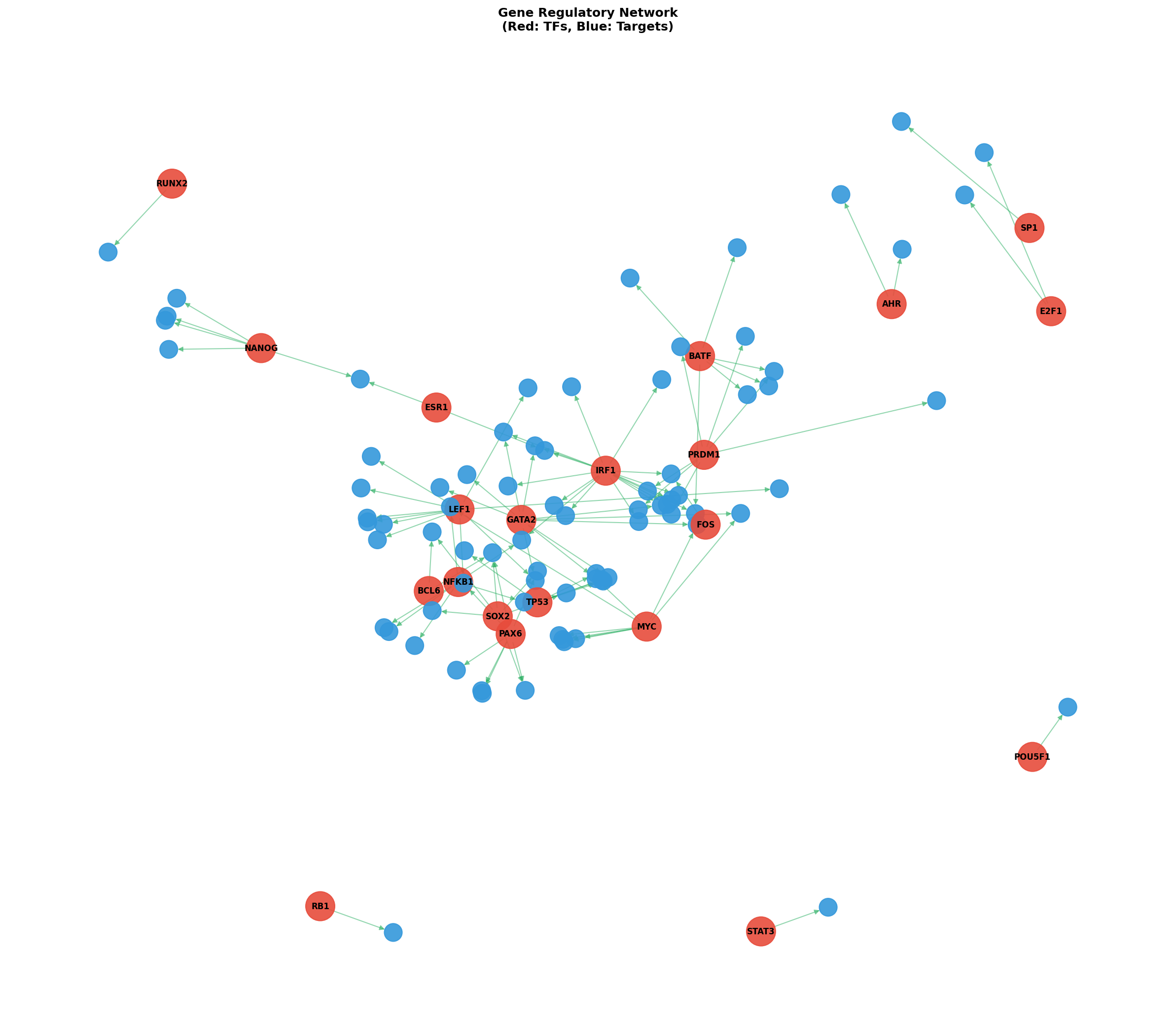 Exploratory TF-Target Association Network