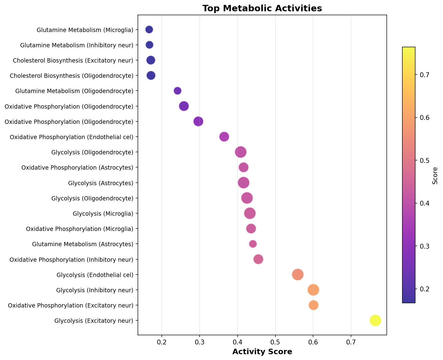 Top Metabolic Activities