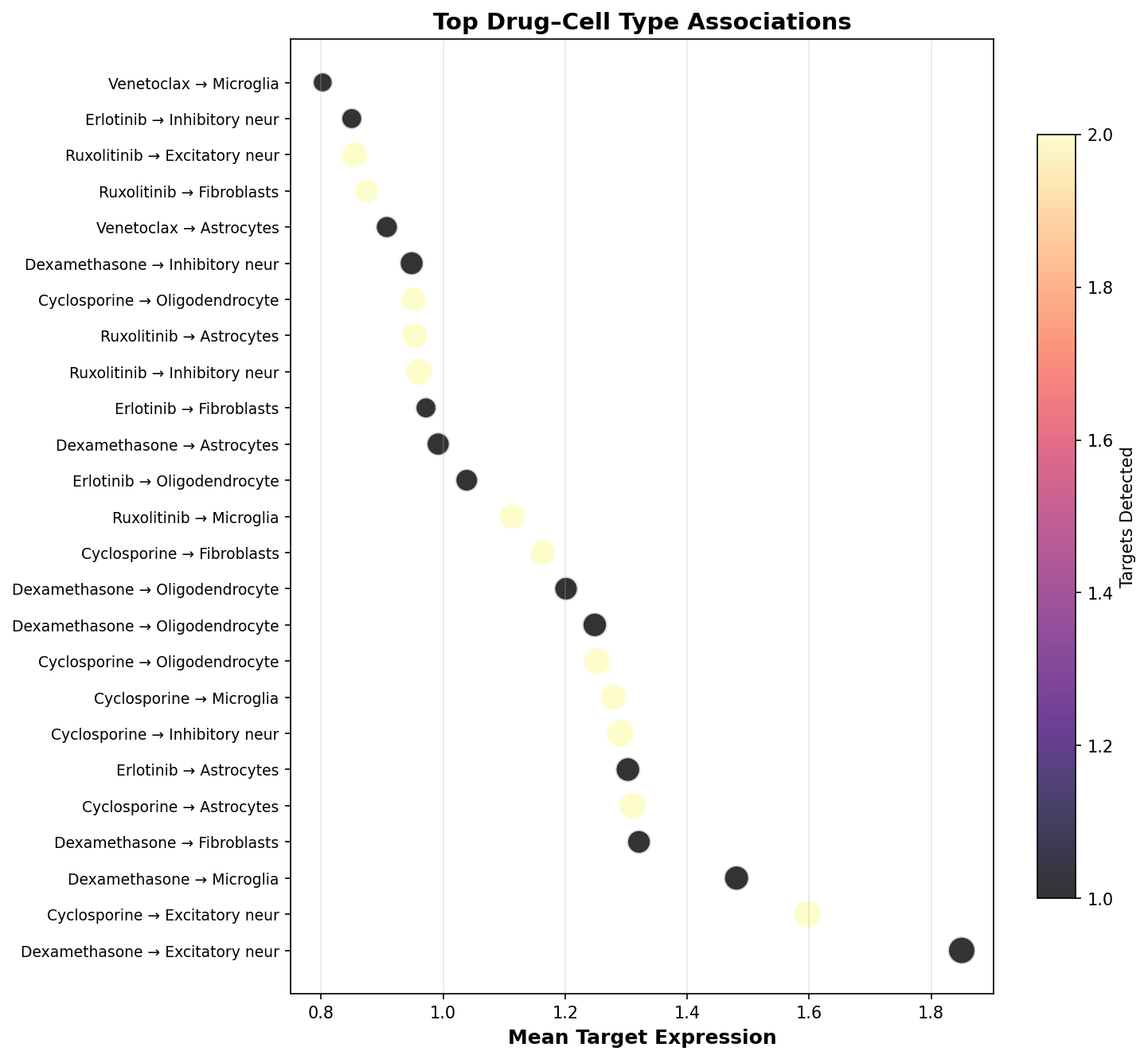 Top Drug–Cell Type Associations