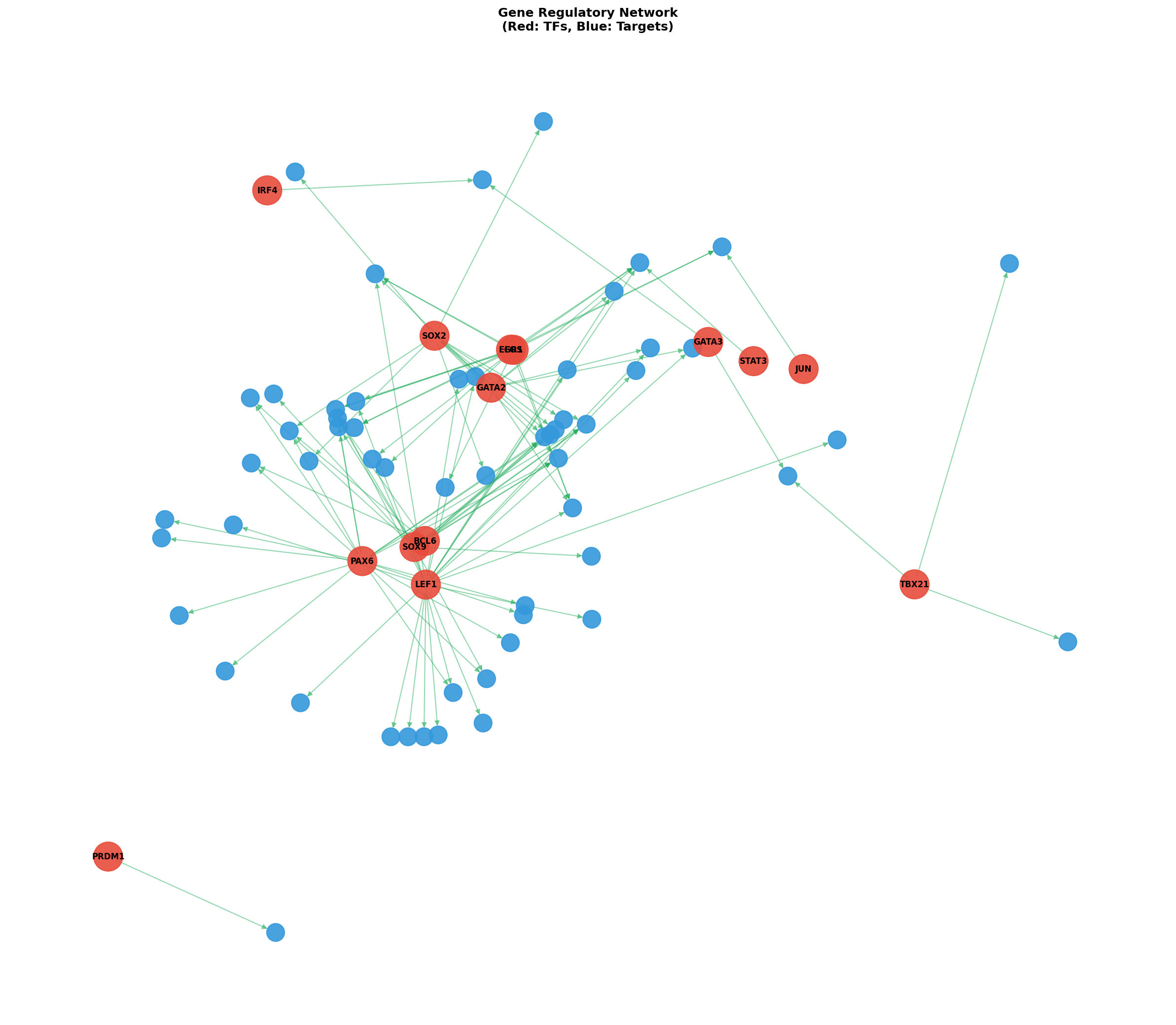Exploratory TF-Target Association Network