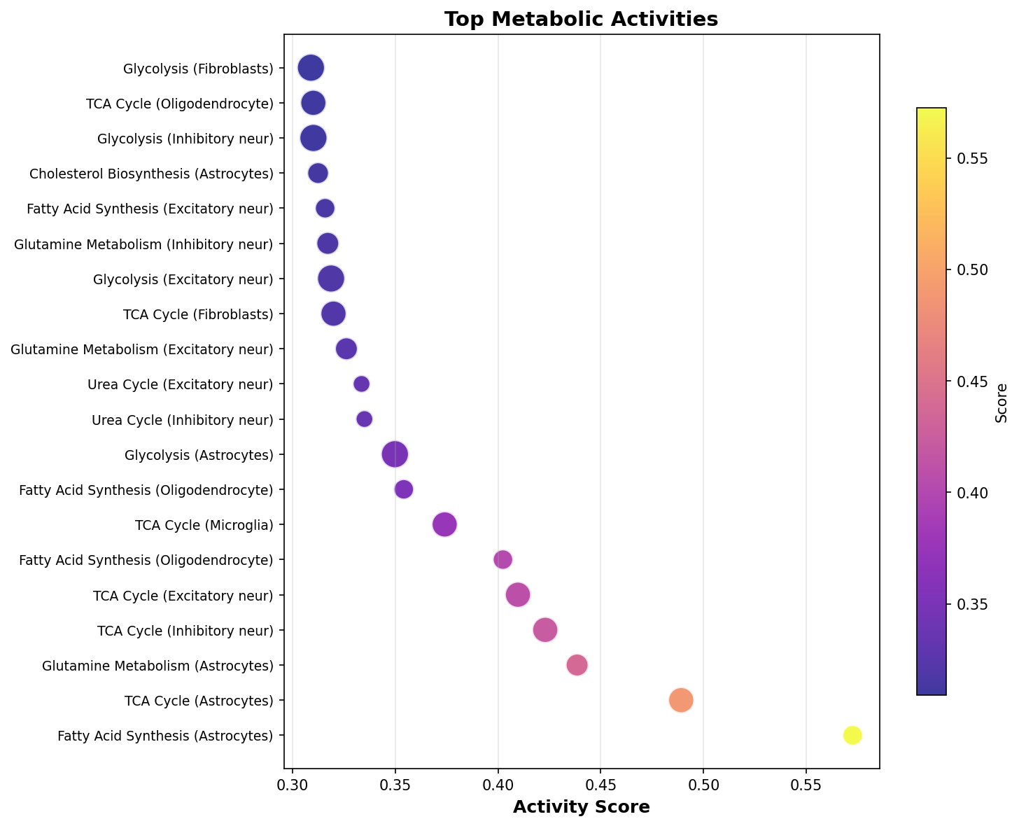 Top Metabolic Activities