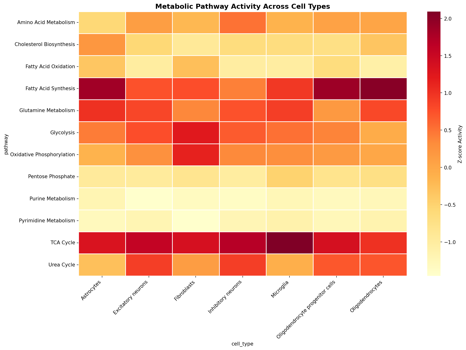 Metabolic Pathway Heatmap