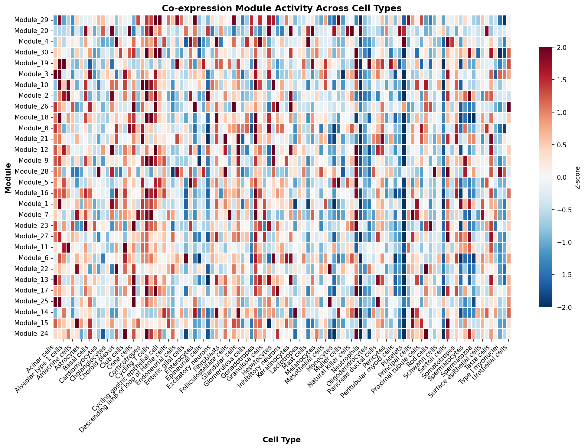 Module-Cell Type Association