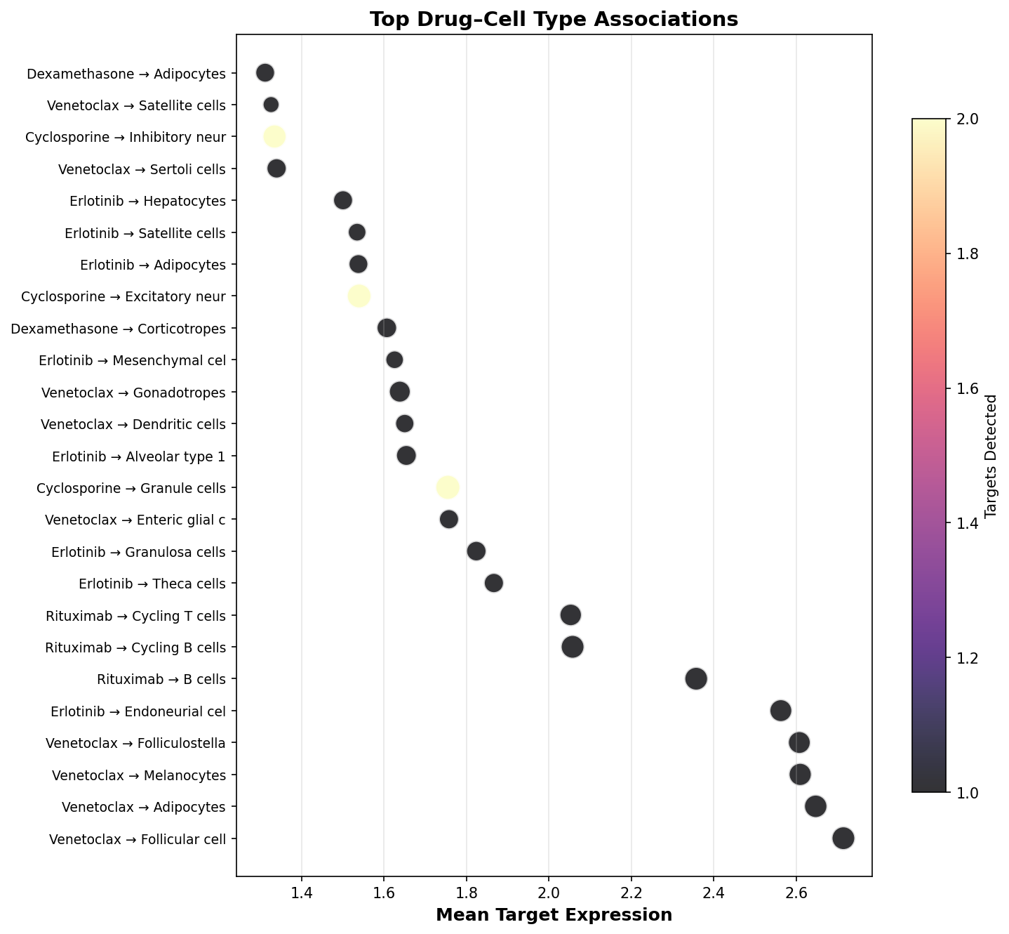 Top Drug–Cell Type Associations