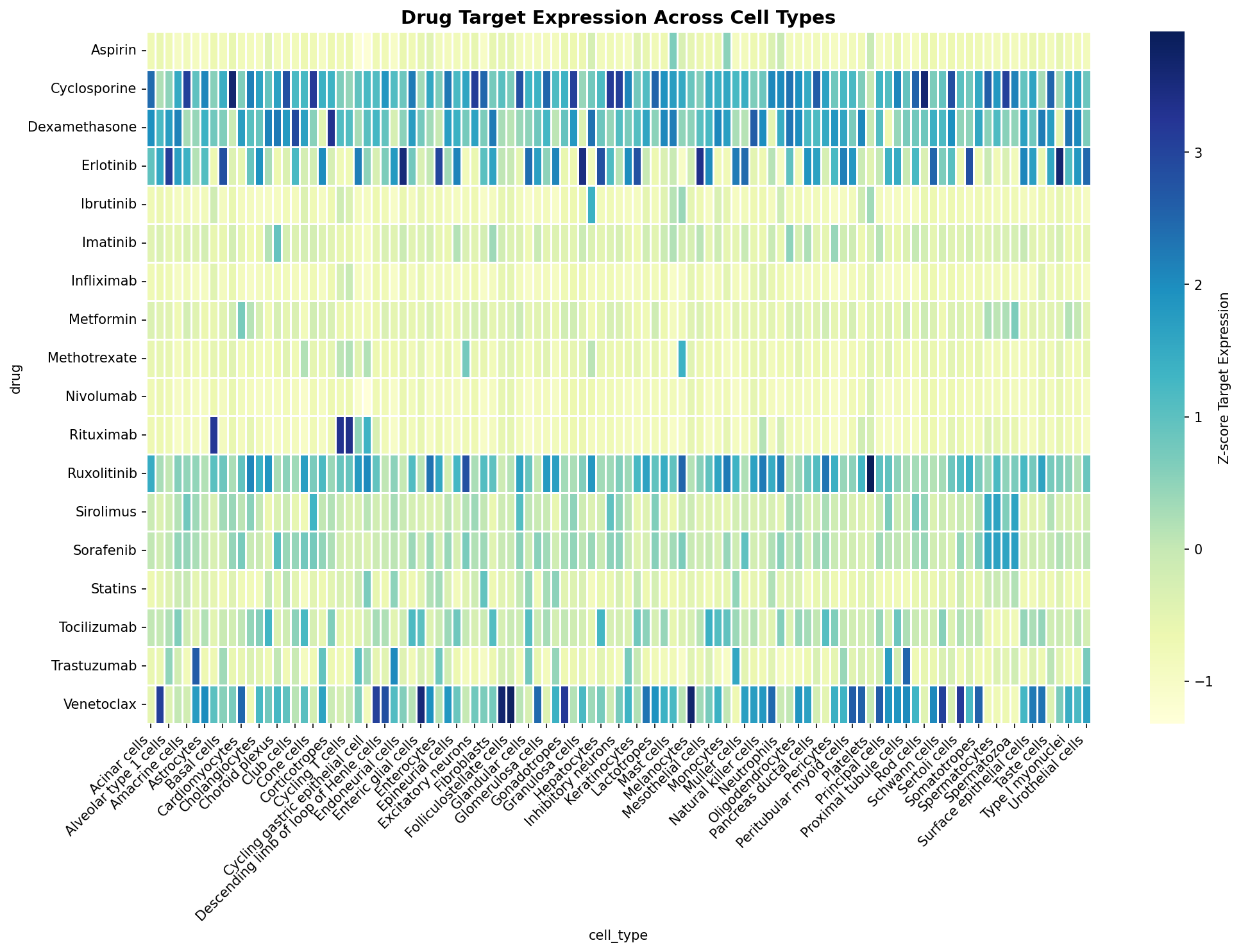 Drug Target Expression Heatmap