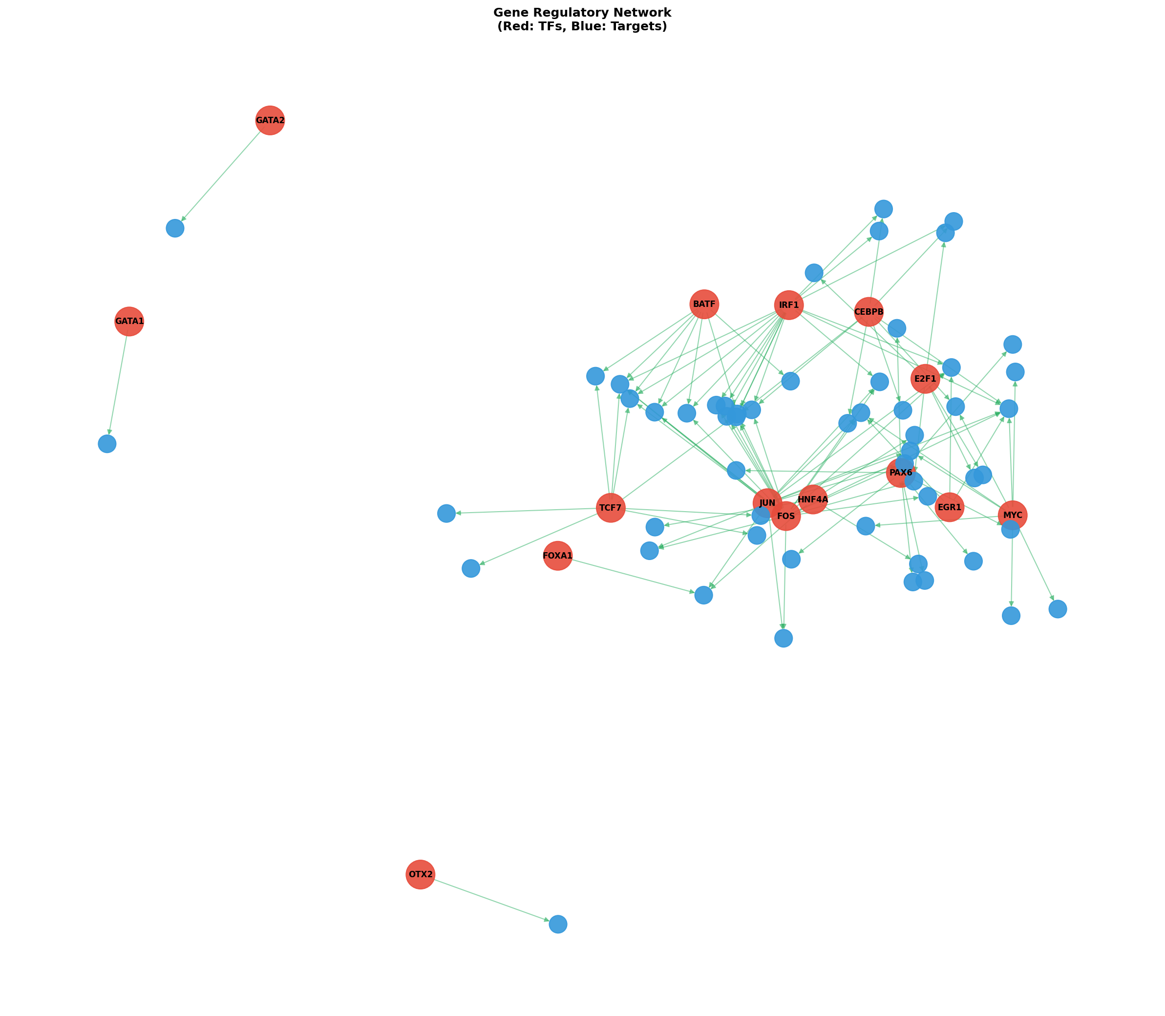 Exploratory TF-Target Association Network