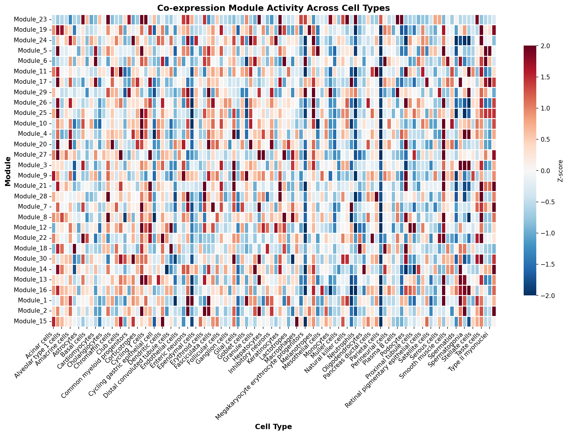 Module-Cell Type Association