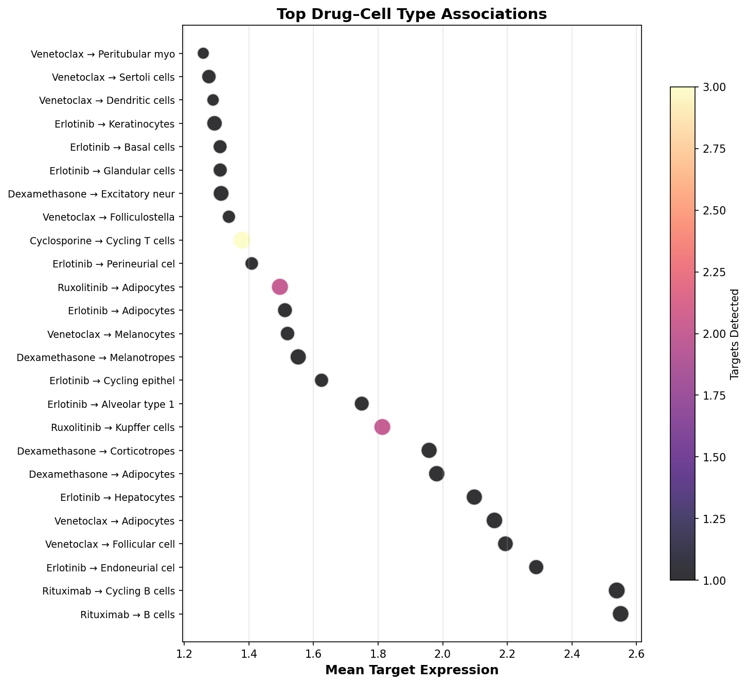 Top Drug–Cell Type Associations
