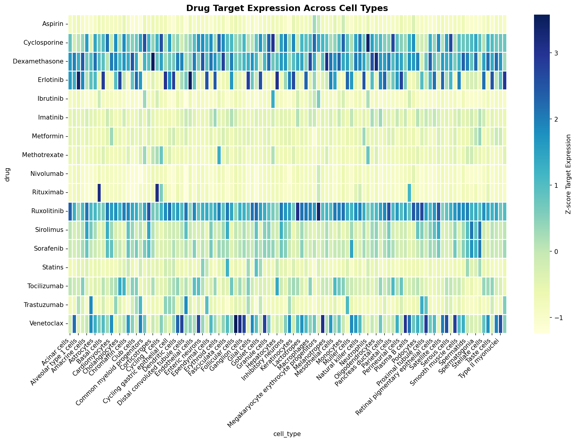 Drug Target Expression Heatmap