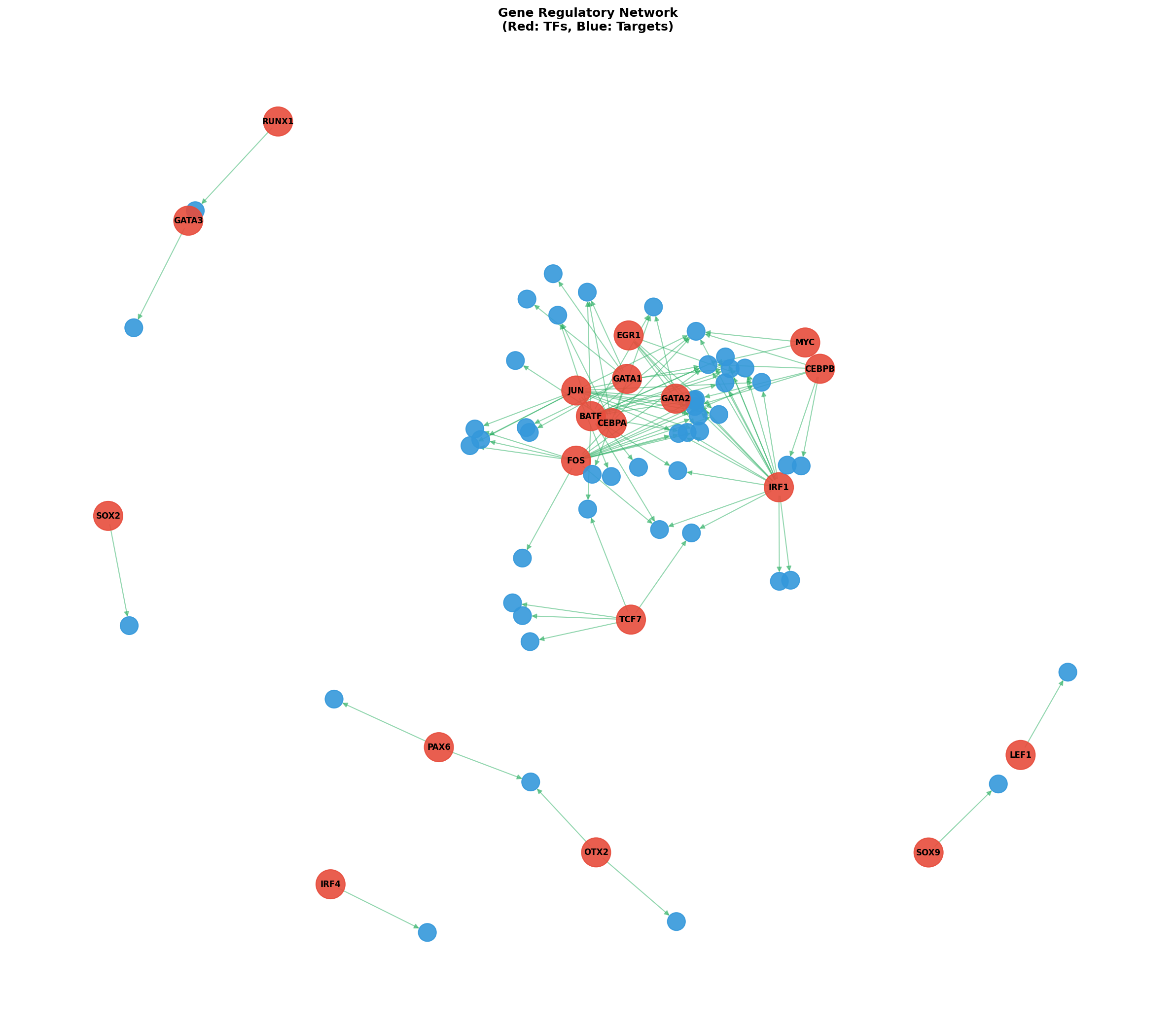 Exploratory TF-Target Association Network