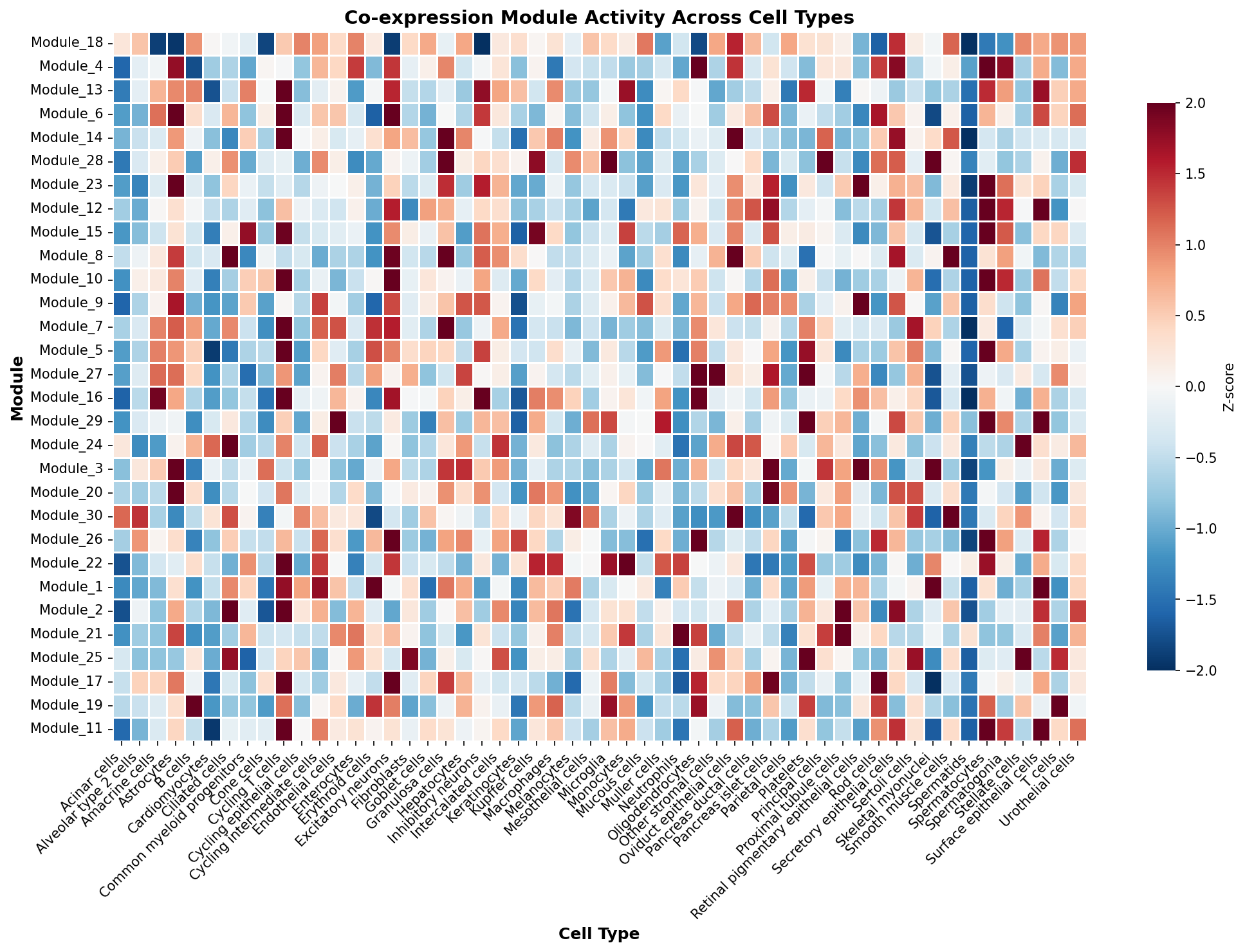 Module-Cell Type Association