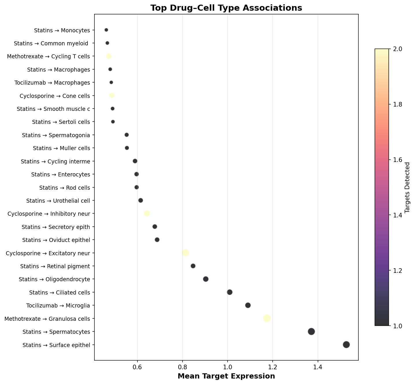 Top Drug–Cell Type Associations