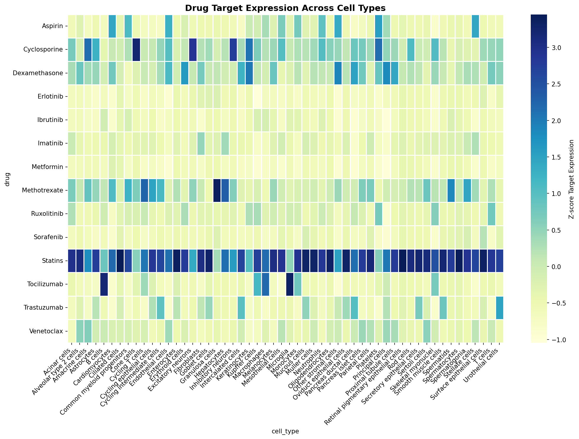 Drug Target Expression Heatmap