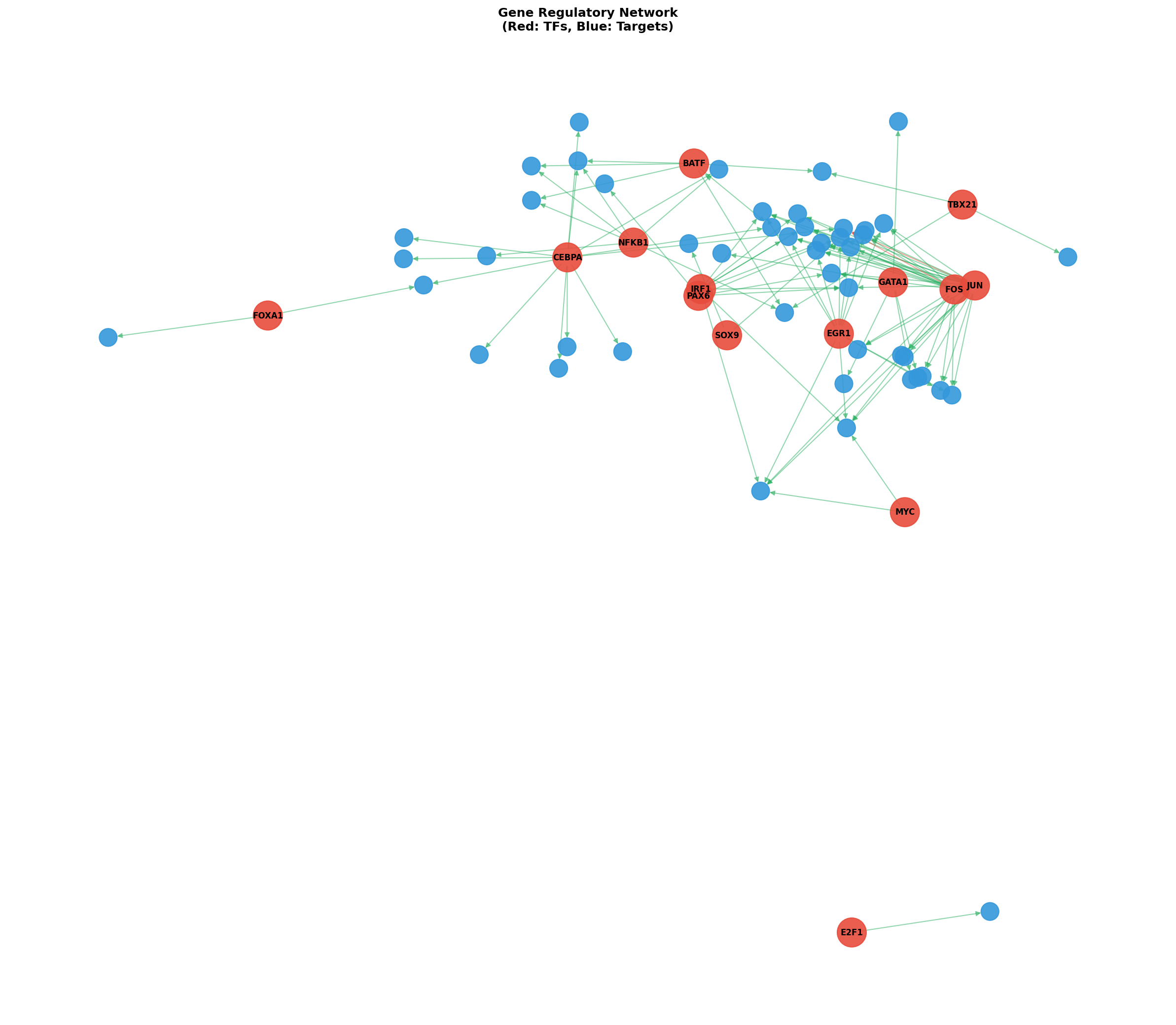 Exploratory TF-Target Association Network