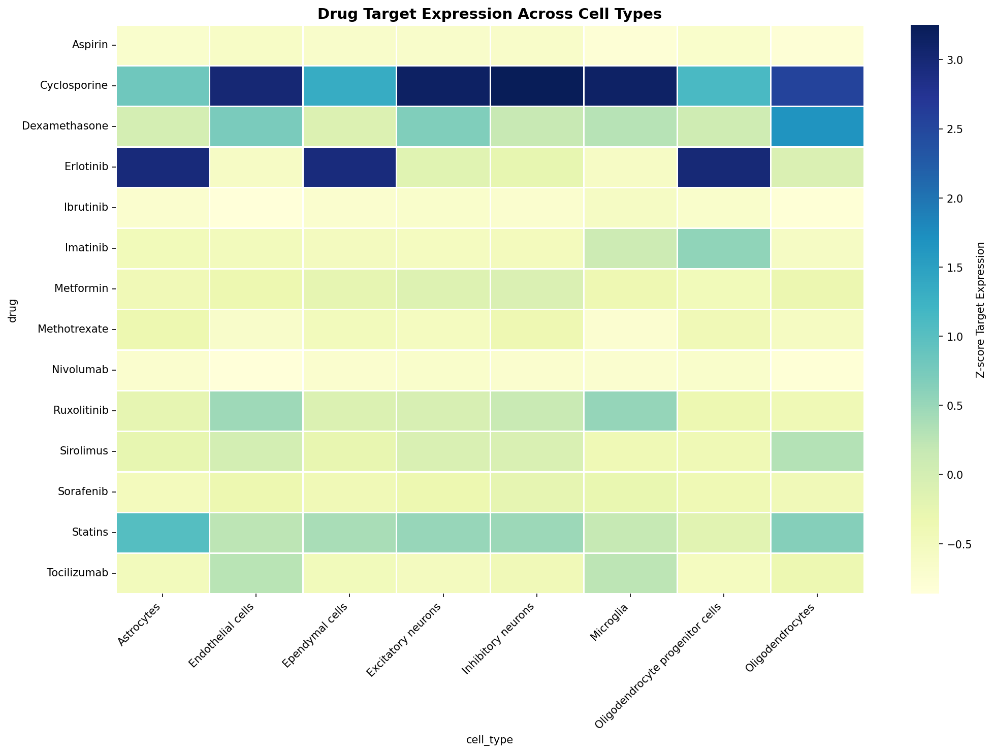 Drug Target Expression Heatmap