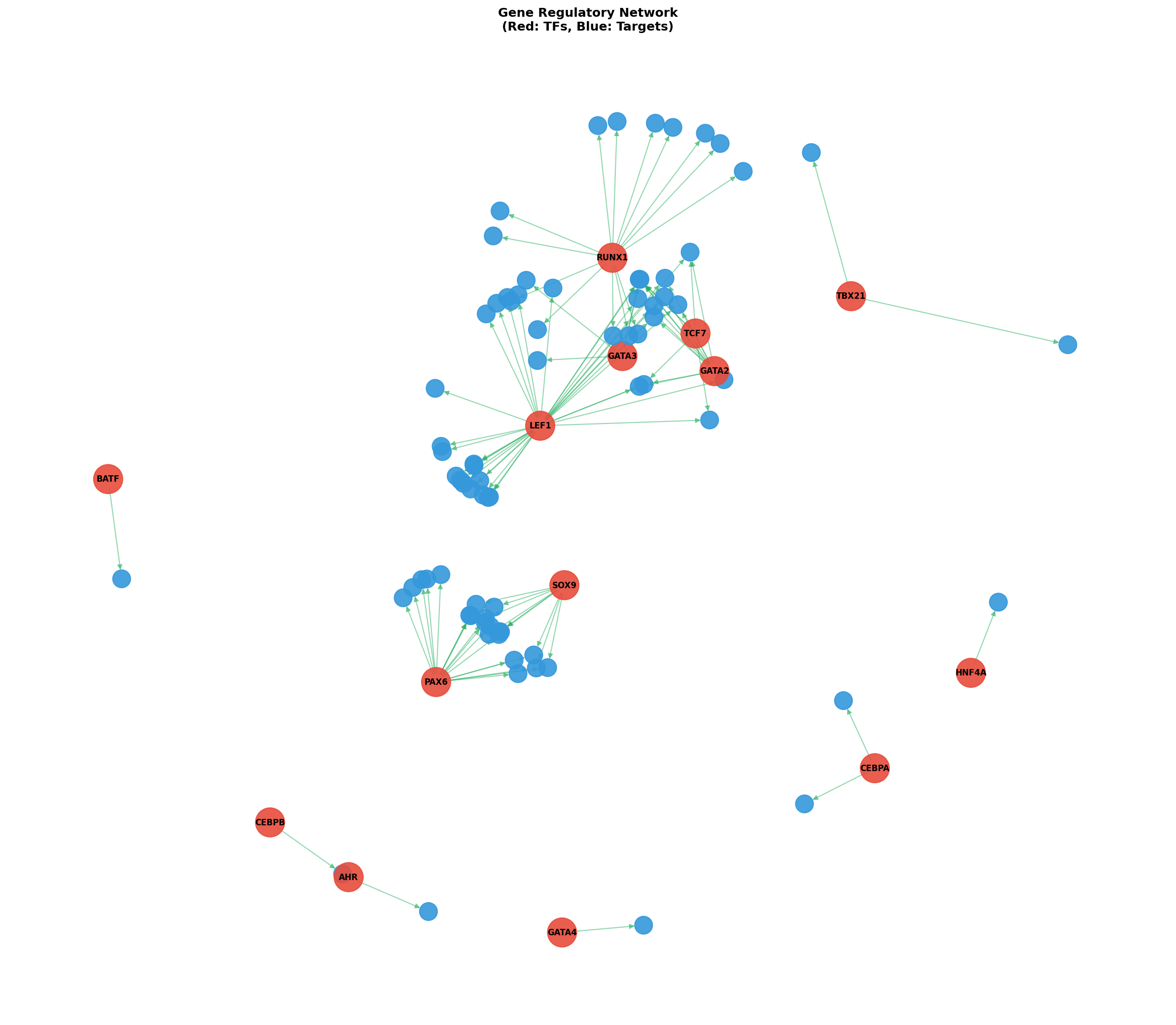 Exploratory TF-Target Association Network