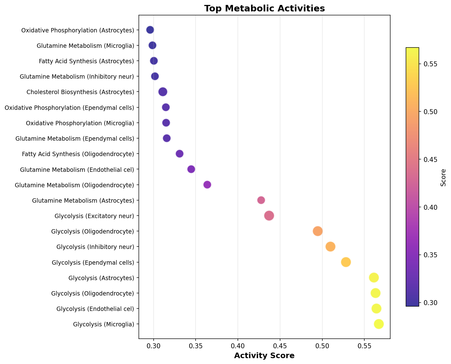 Top Metabolic Activities