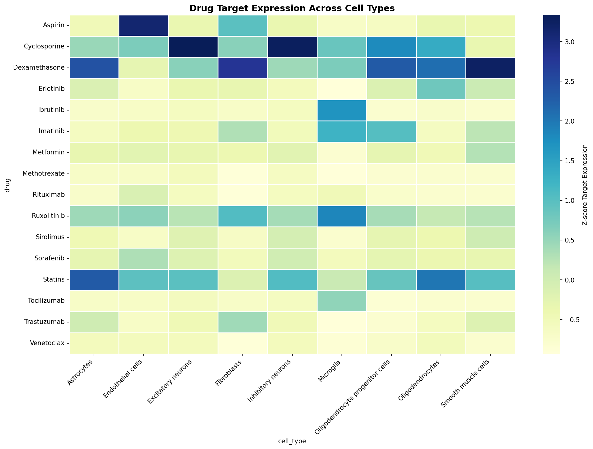 Drug Target Expression Heatmap