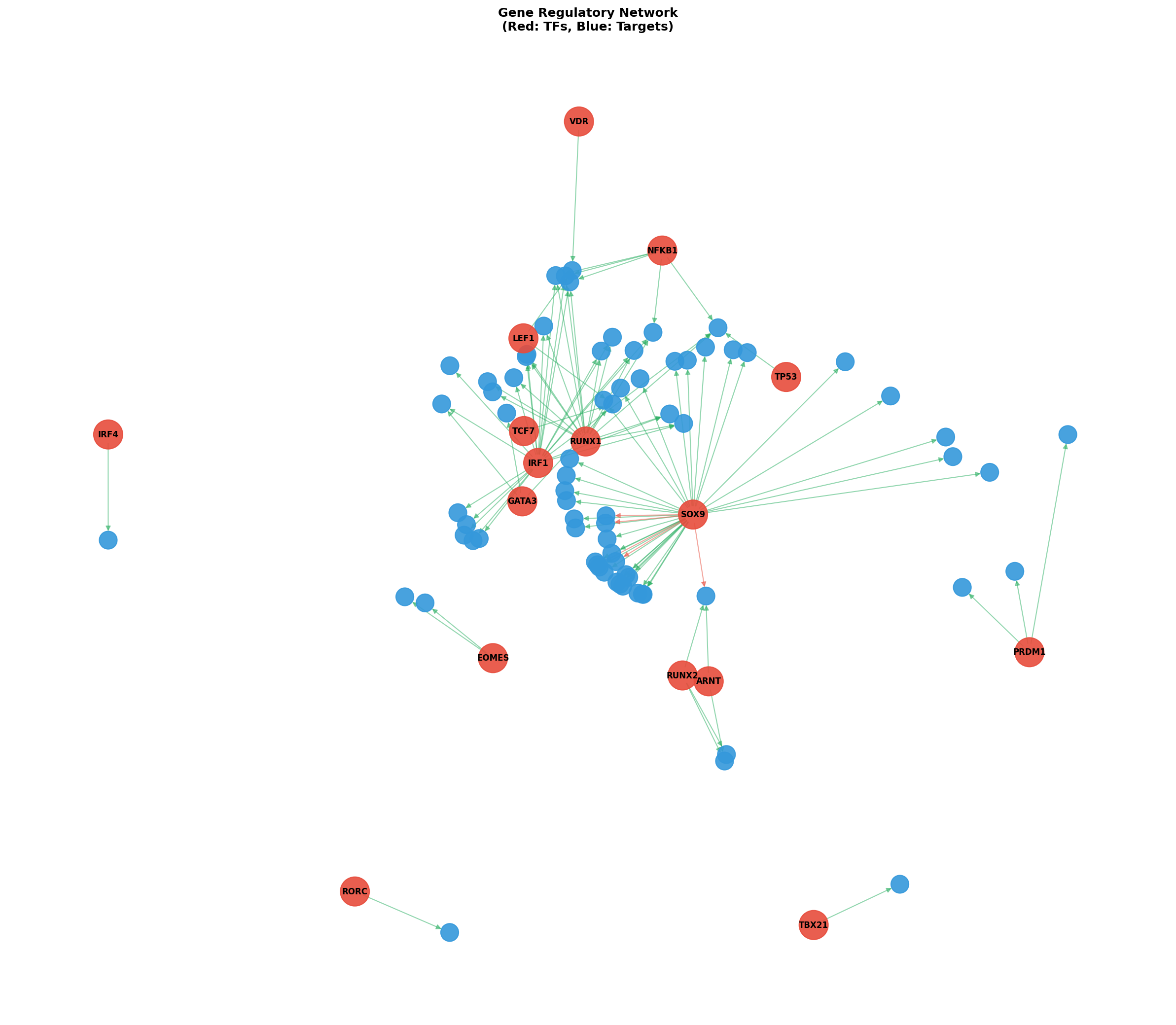 Exploratory TF-Target Association Network