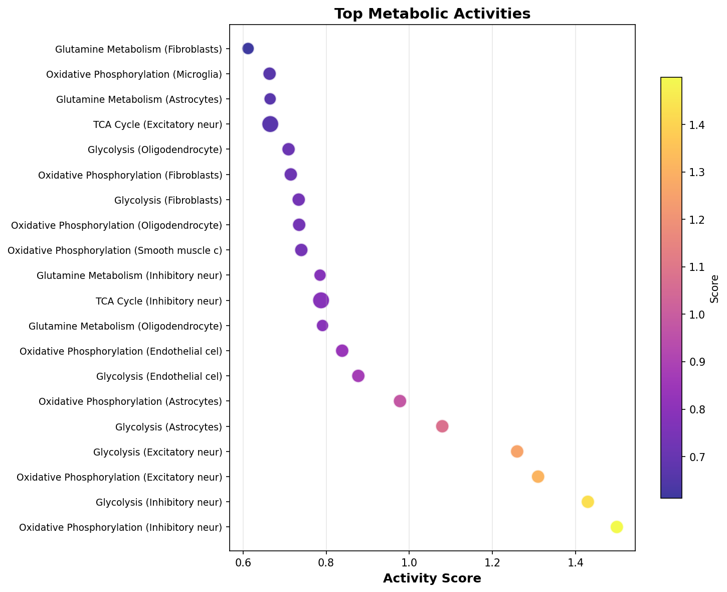 Top Metabolic Activities
