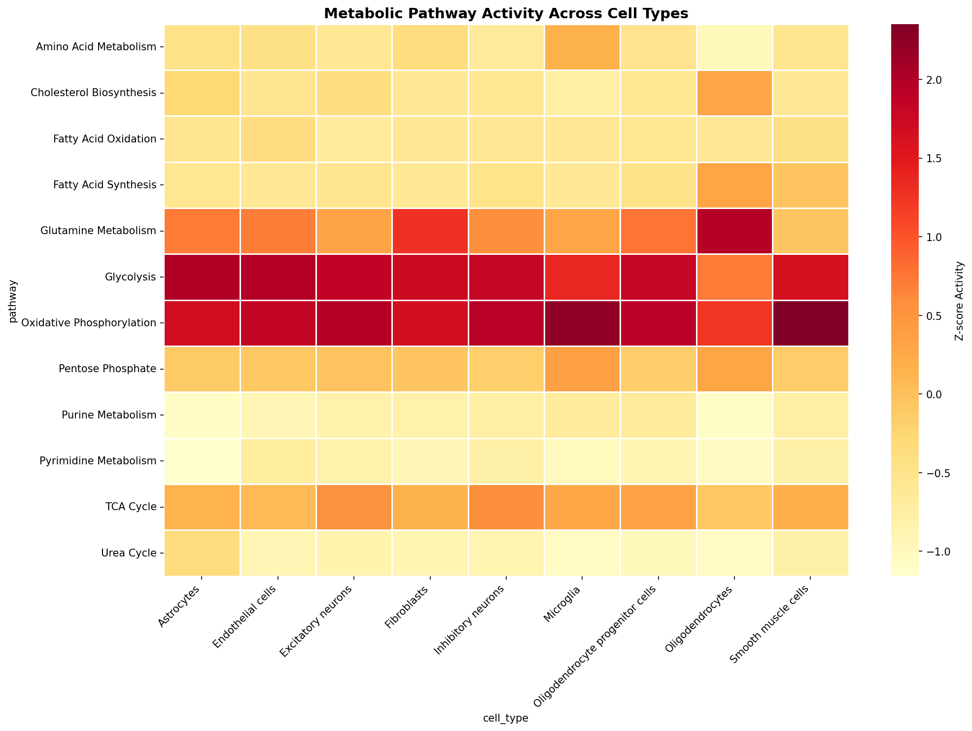 Metabolic Pathway Heatmap