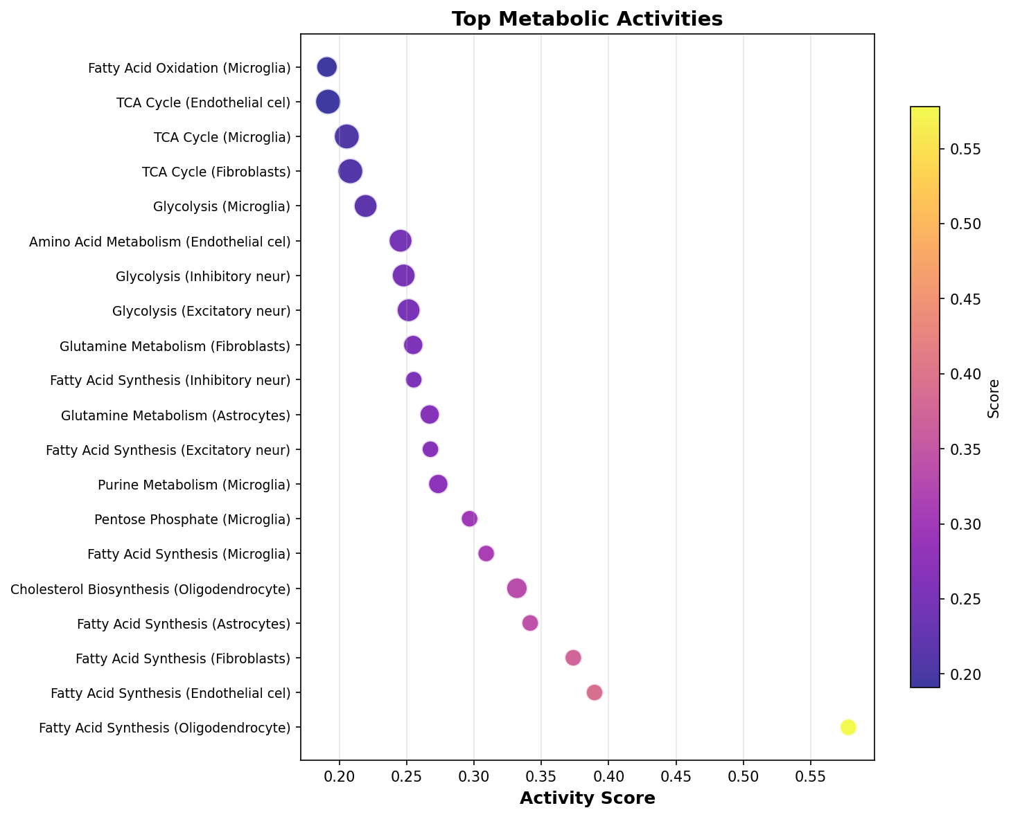 Top Metabolic Activities