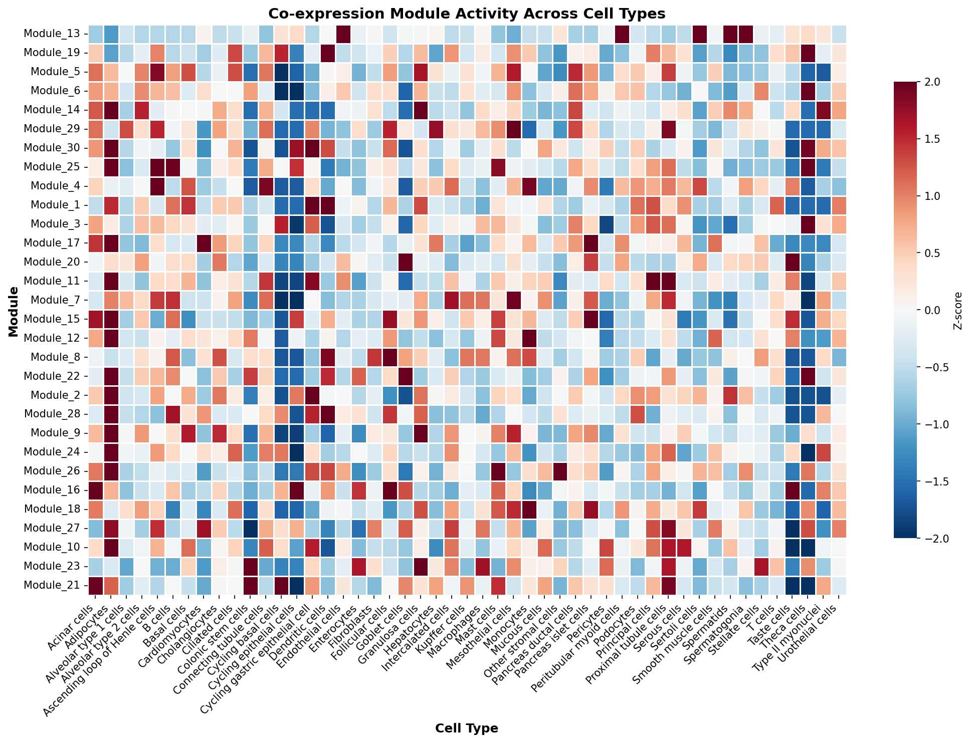 Module-Cell Type Association
