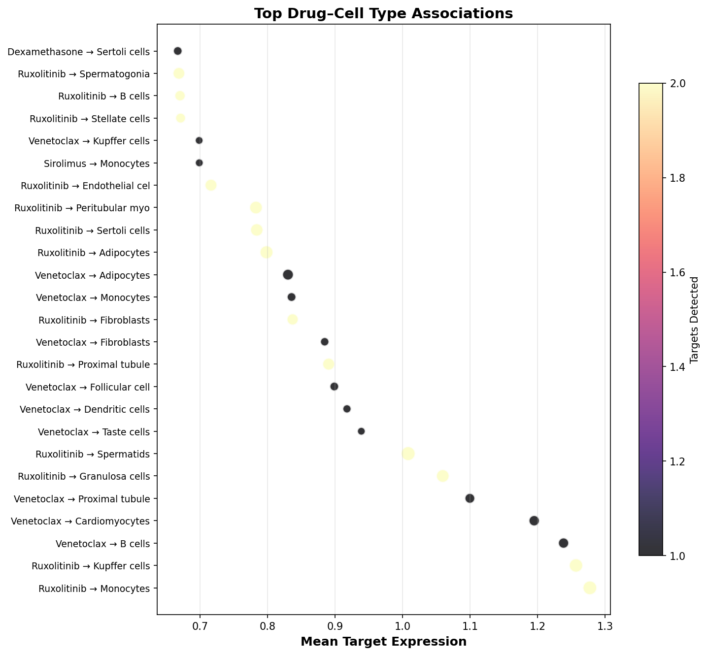 Top Drug–Cell Type Associations