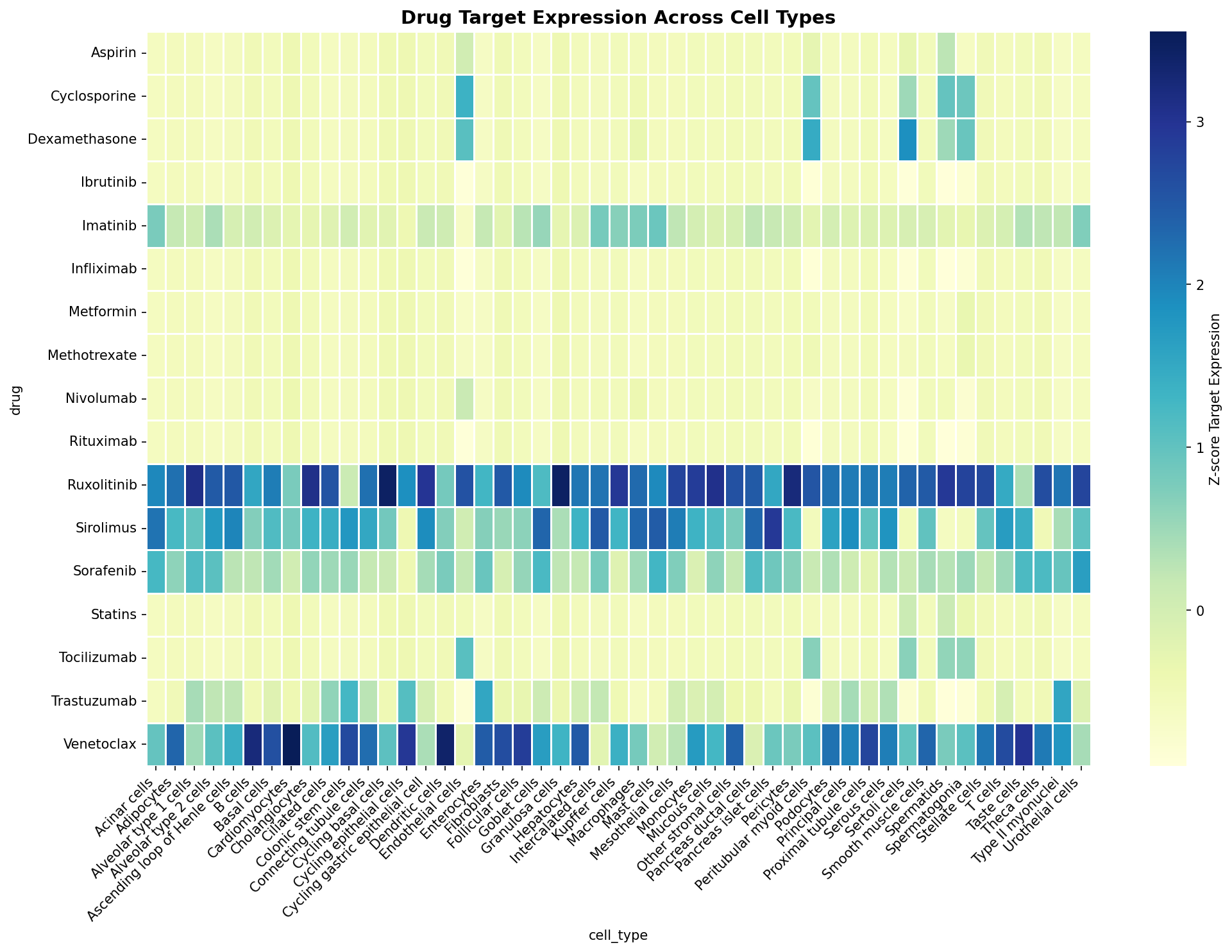 Drug Target Expression Heatmap