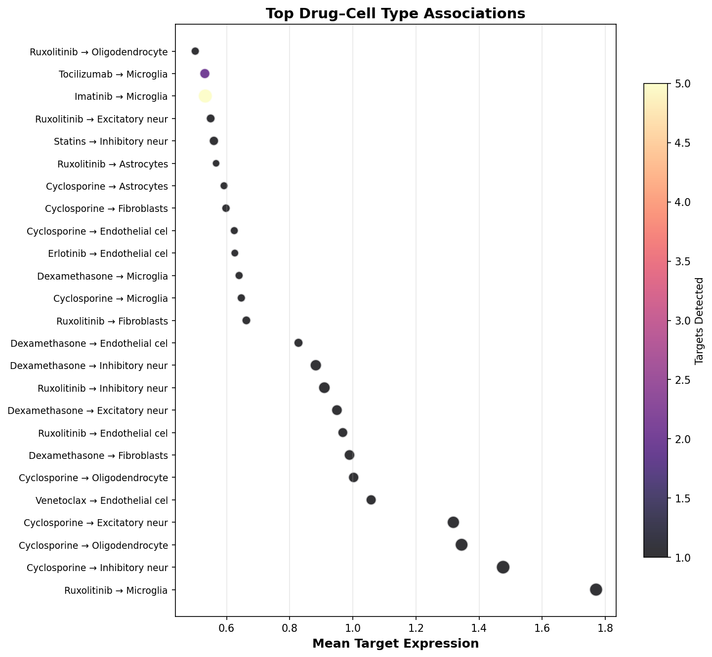 Top Drug–Cell Type Associations