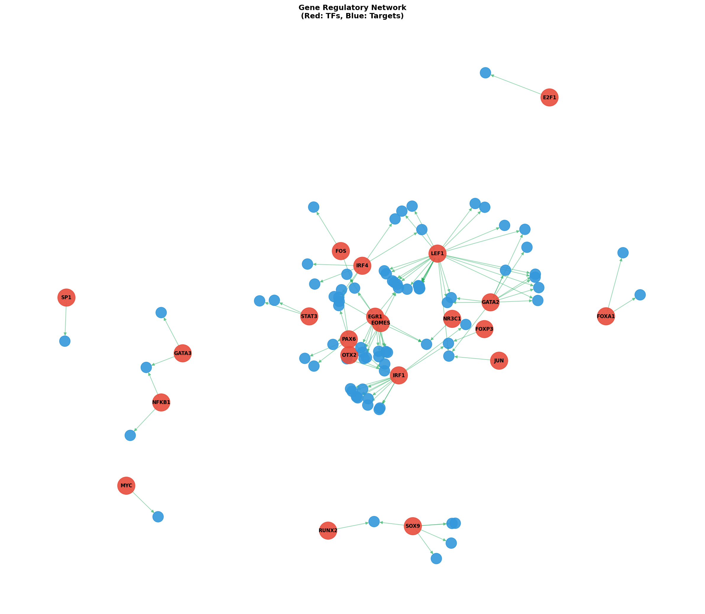 Exploratory TF-Target Association Network