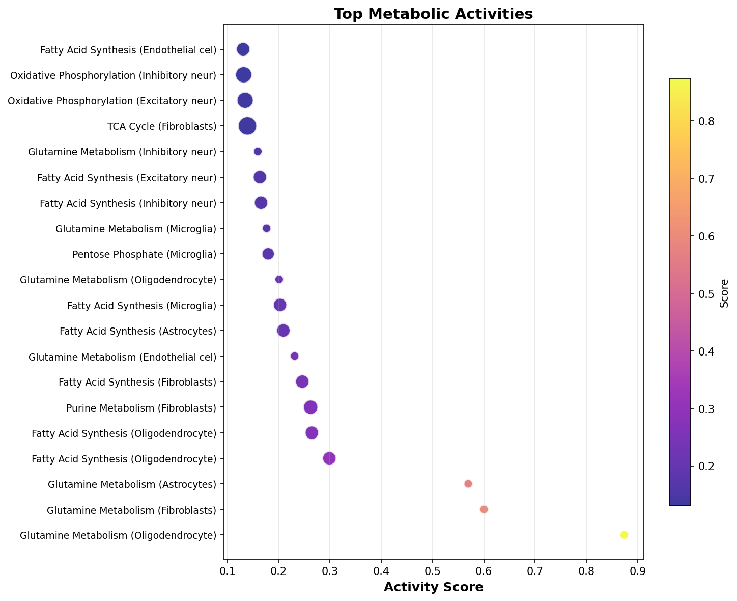 Top Metabolic Activities
