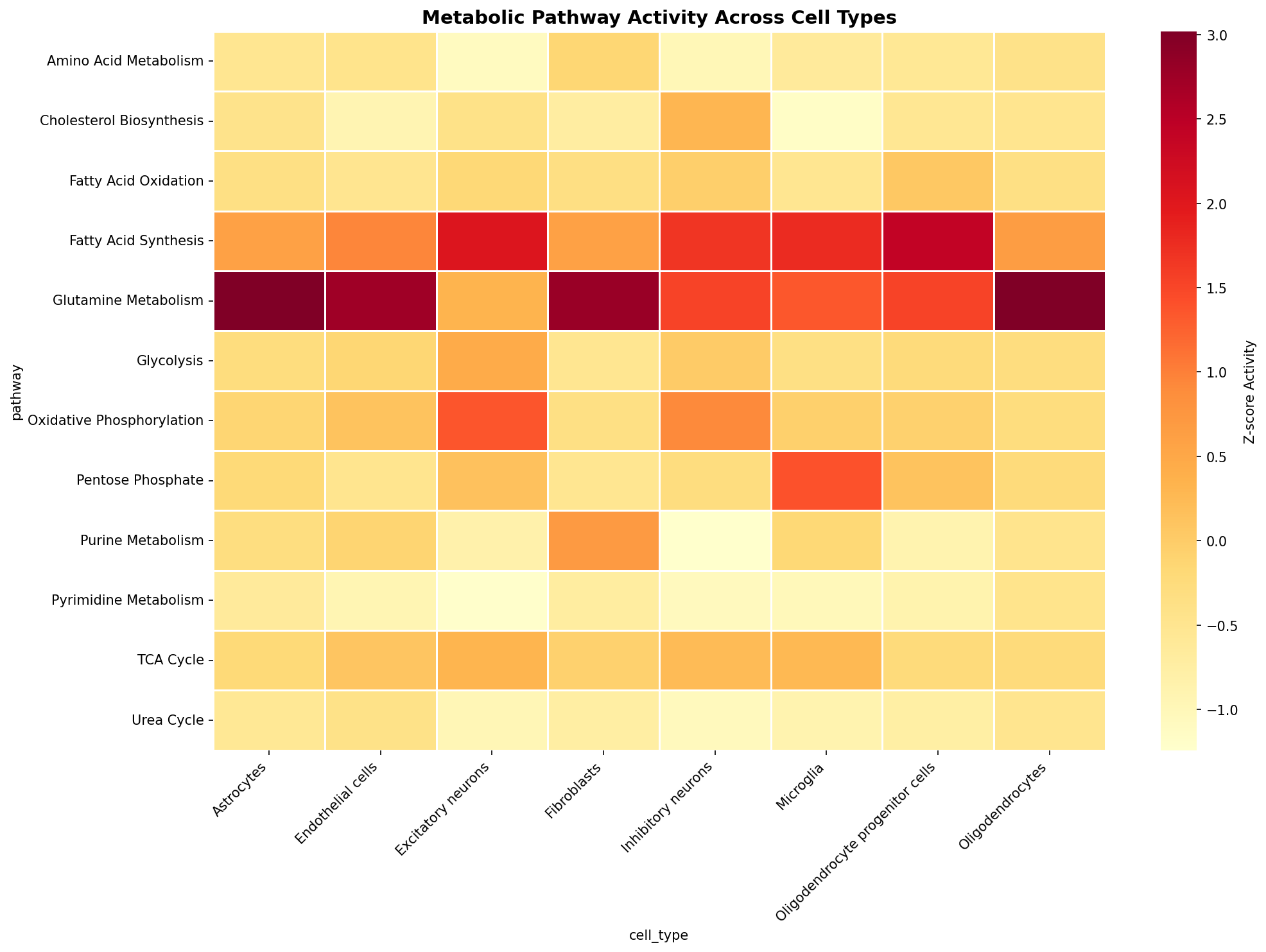 Metabolic Pathway Heatmap