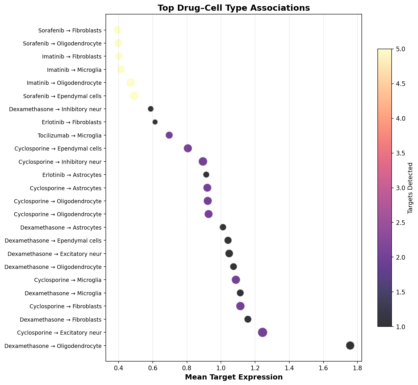 Top Drug–Cell Type Associations