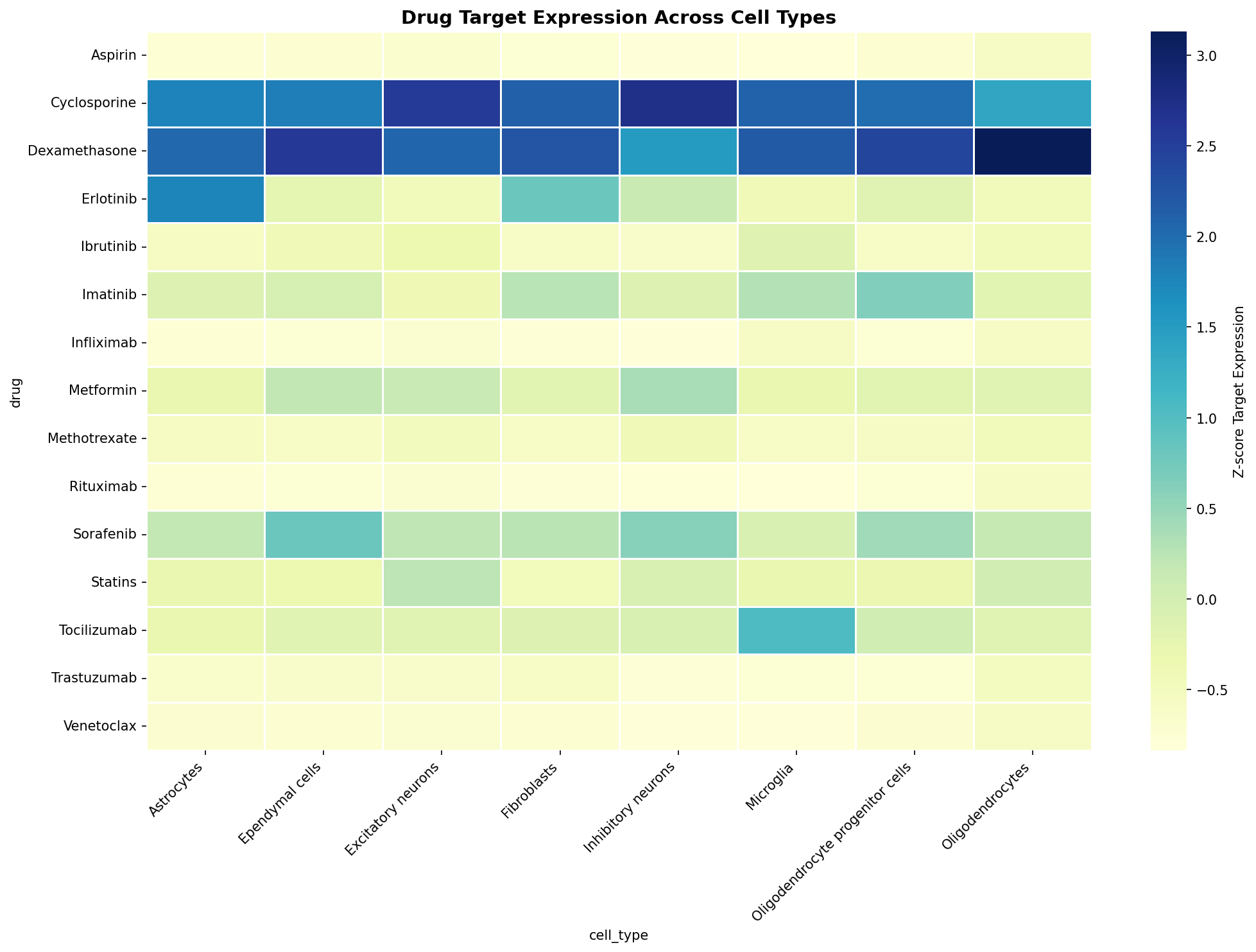 Drug Target Expression Heatmap