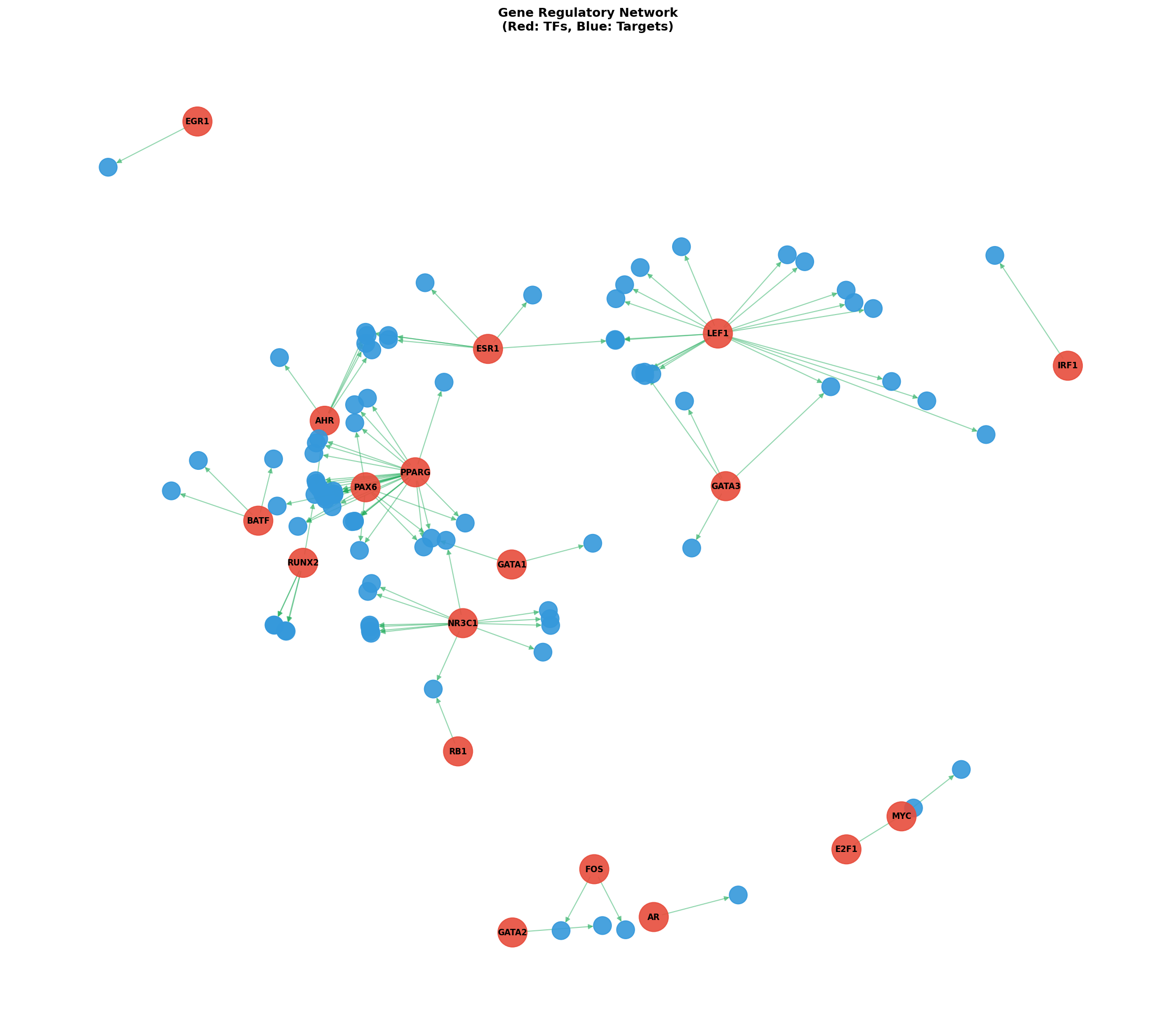 Exploratory TF-Target Association Network
