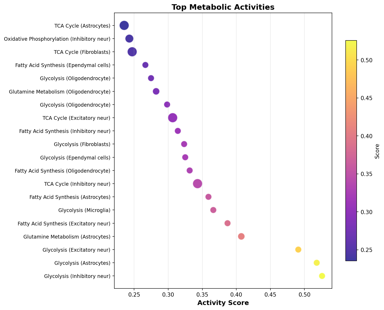 Top Metabolic Activities