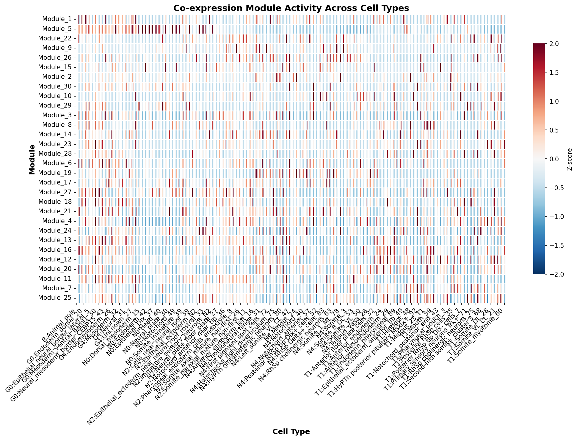 Module-Cell Type Association