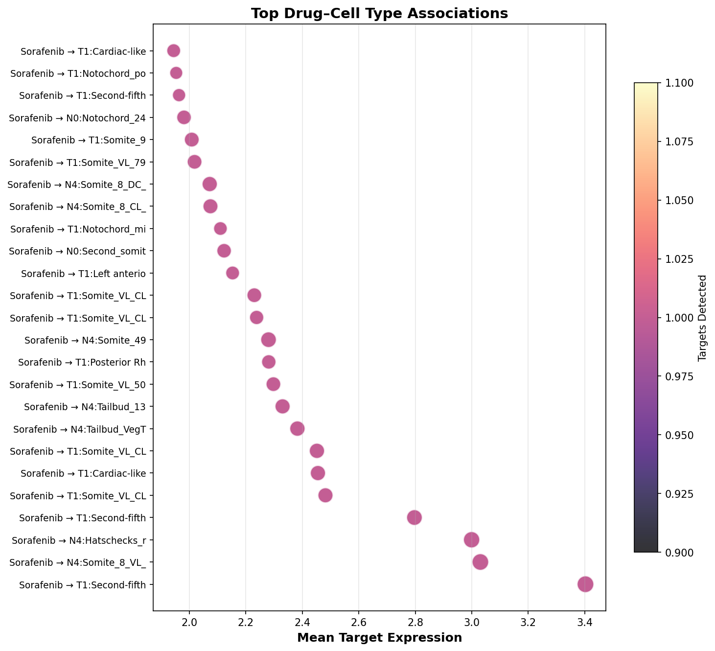 Top Drug–Cell Type Associations